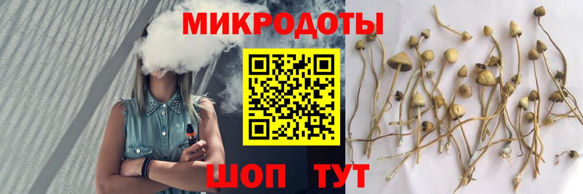 Псилоцибиновые грибы мухоморы Реж
